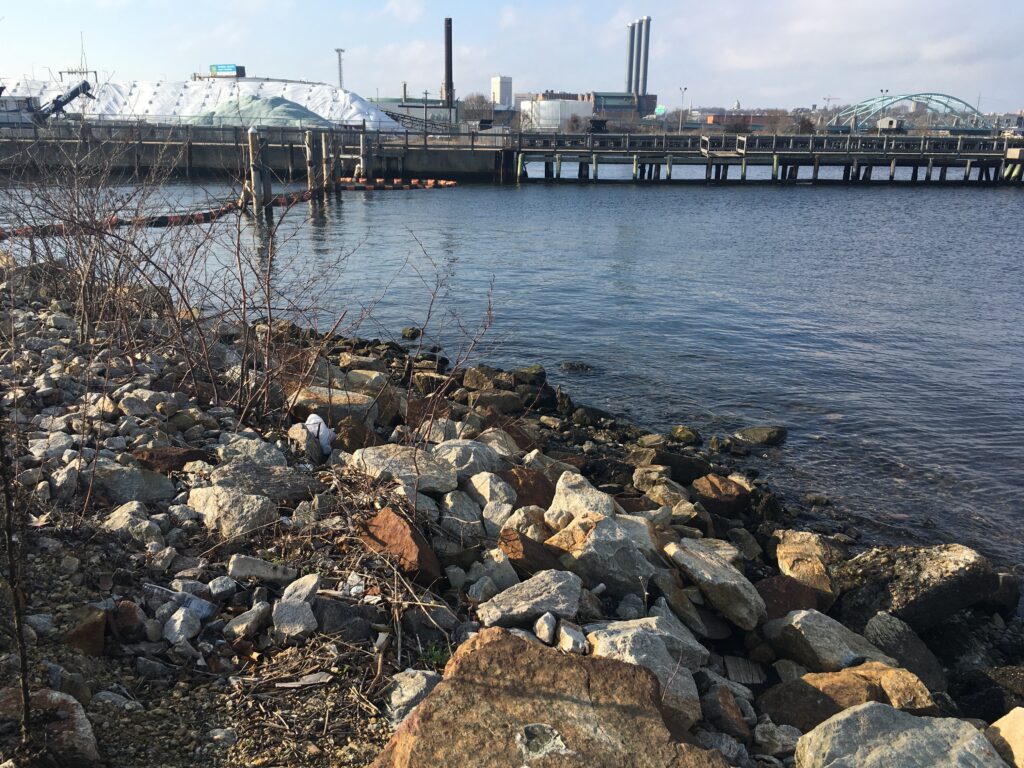 Water and rocks with city and a bridge in the background