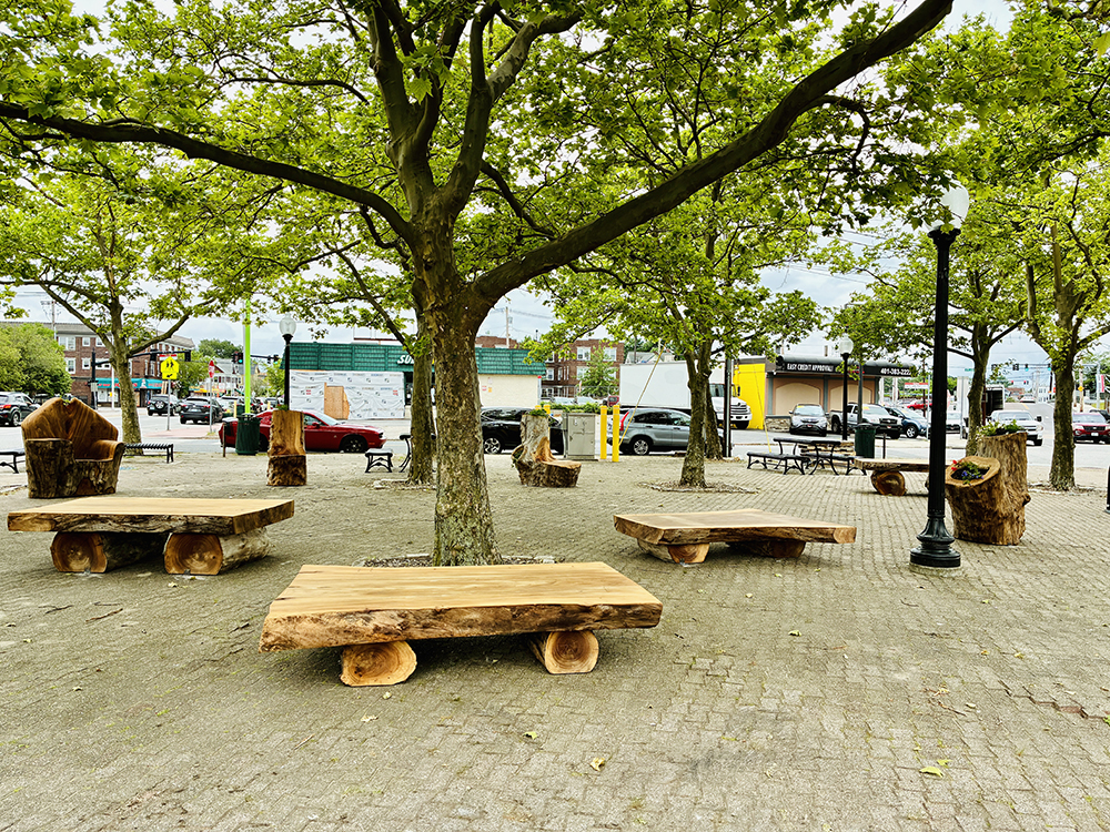 Pond Lands installation by Lu Heintz at the Former Columbus Square. Photograph by Lu Heintz.