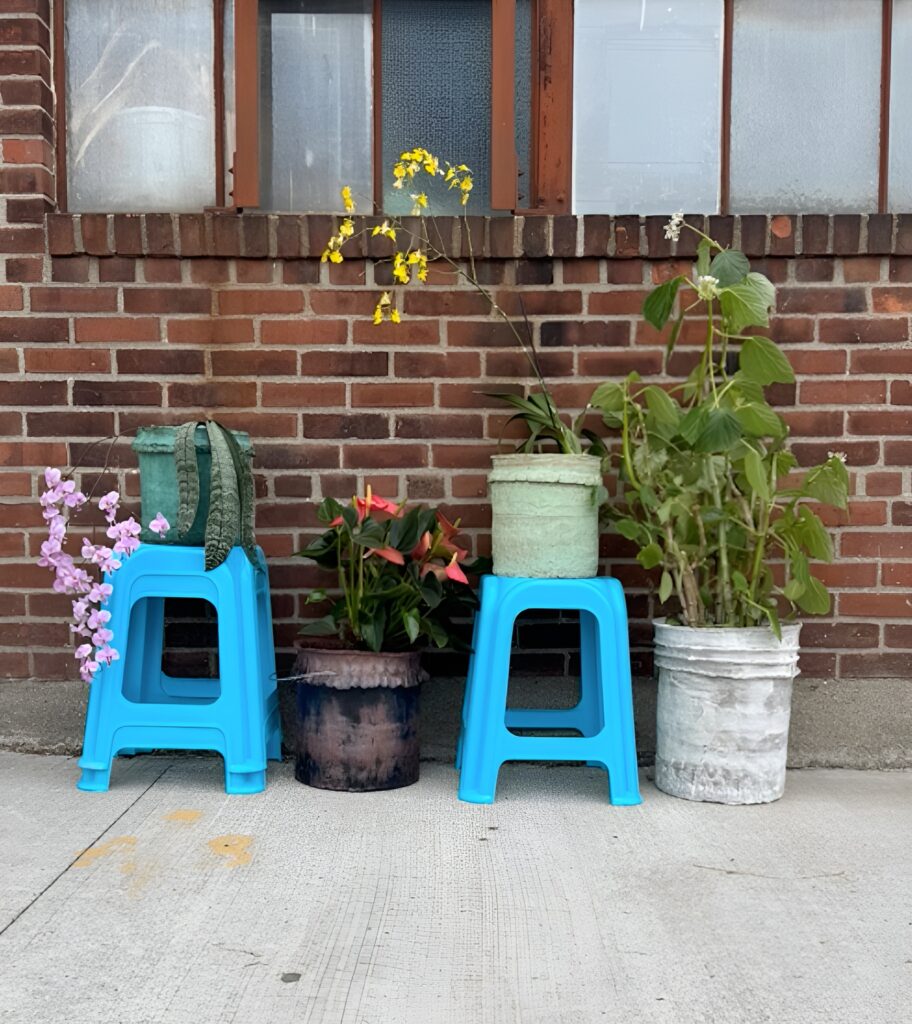 Planters created by Dana Heng & Moy Chuong