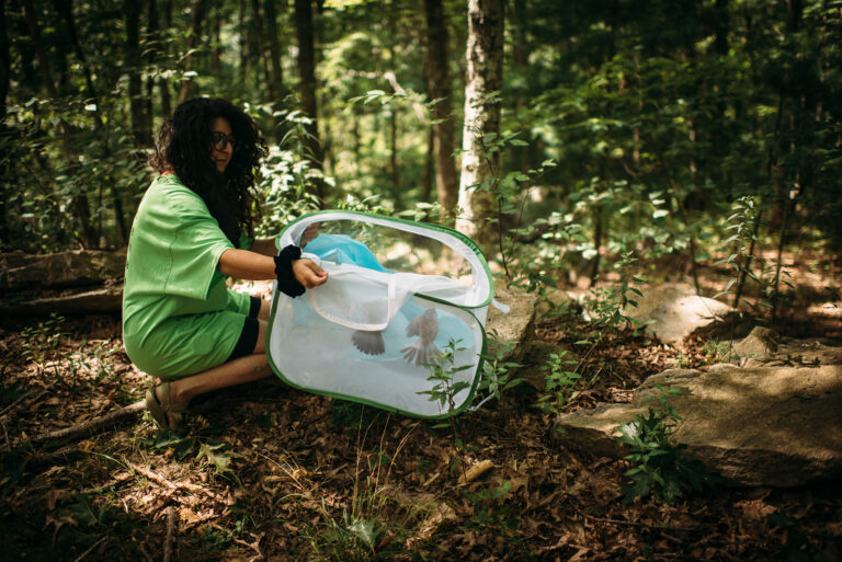 Bird Release led by Sheida Soleimani, August 2024. Photo by Rachel Maeve.